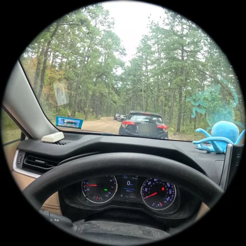 Through the camera: a line of cars on a sand road through the pines, a blue octopus toy on the dashboard. The car ahead’s plate is blurred.