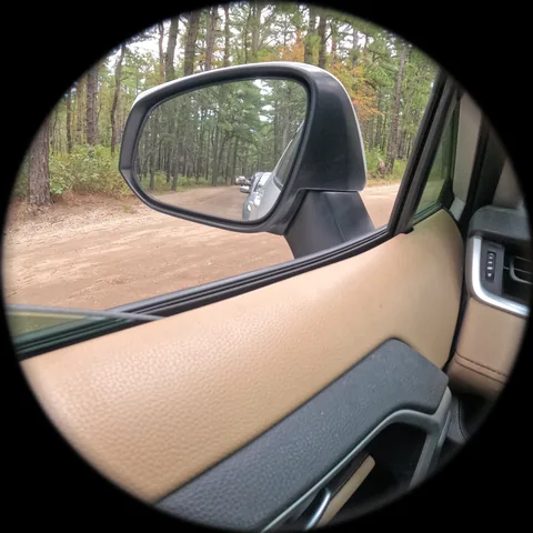 Through the camera: the side mirror and a sand road through the pines.