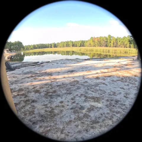 Through the camera: white sand and a still lake ringed by pines, morning light.
